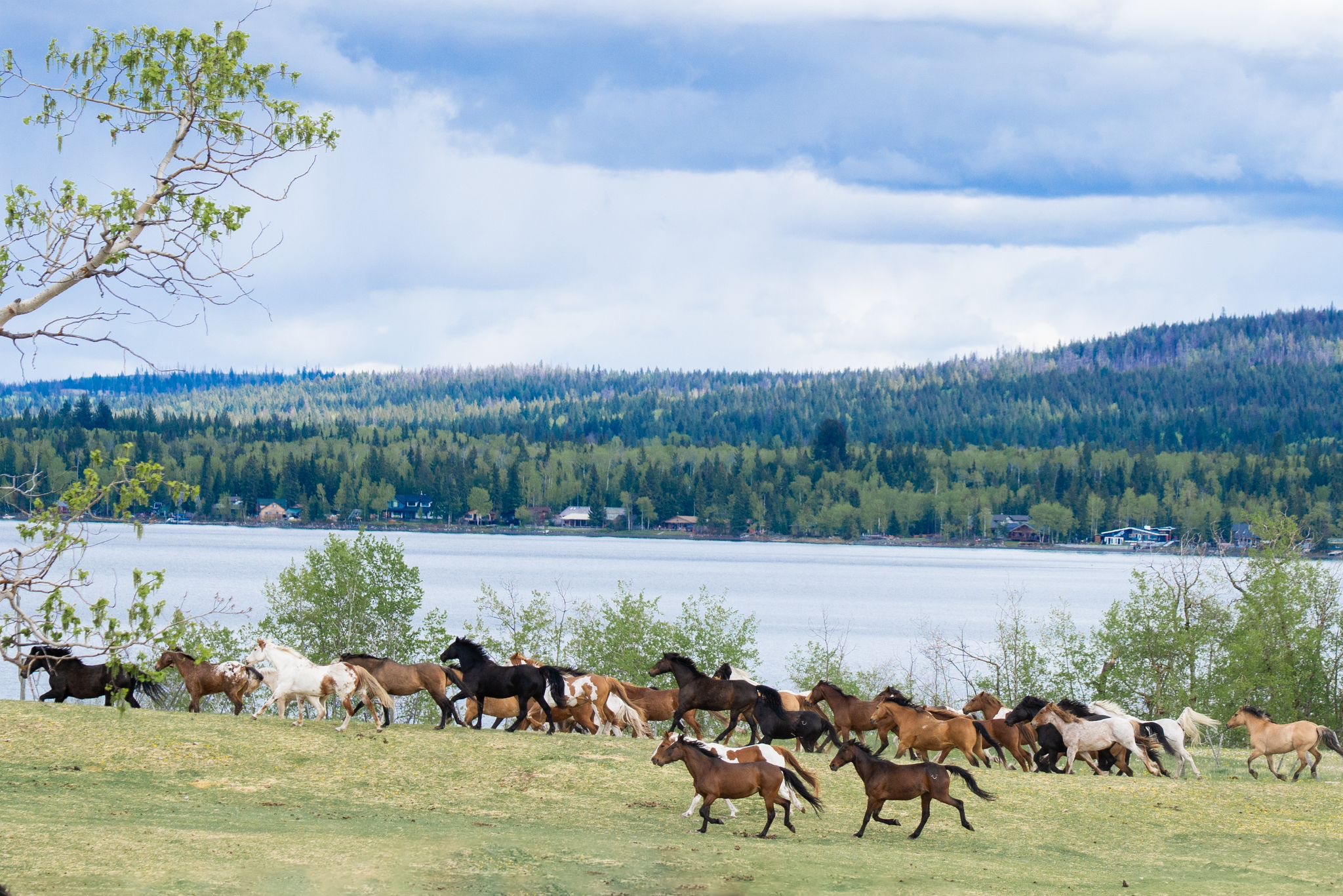 The Flying U Ranch