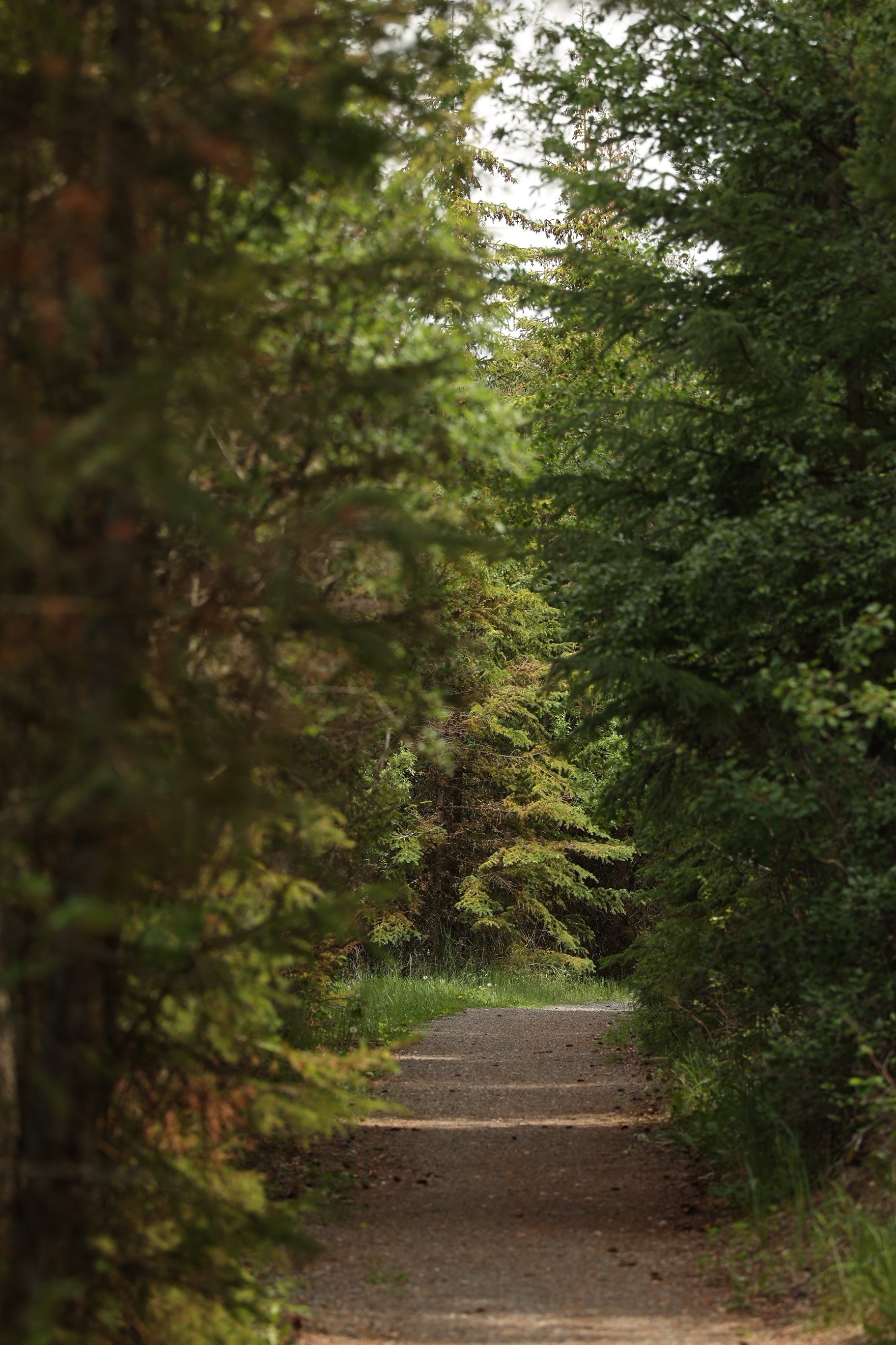 108 Mile Trail