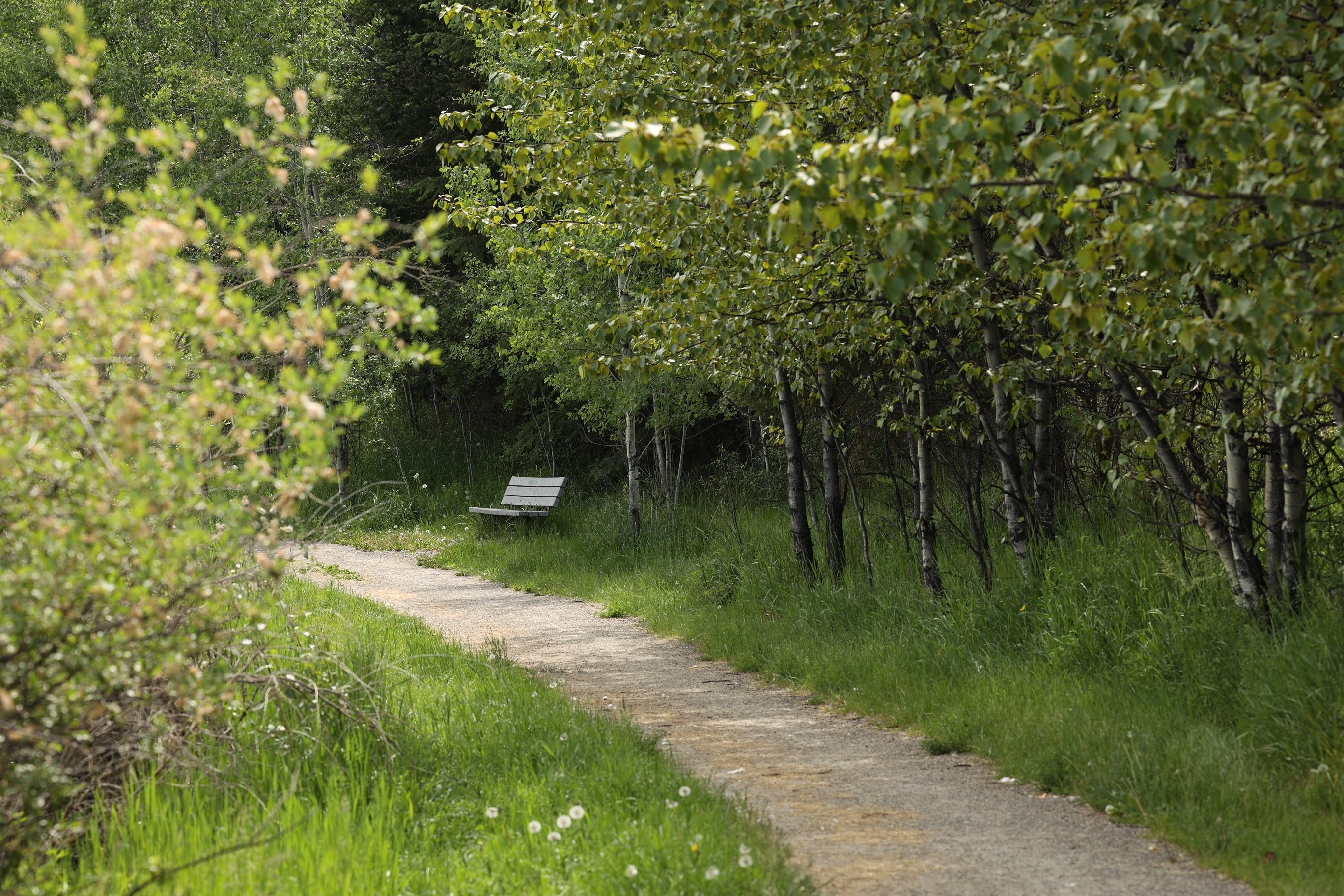 Sepa Lake Trail