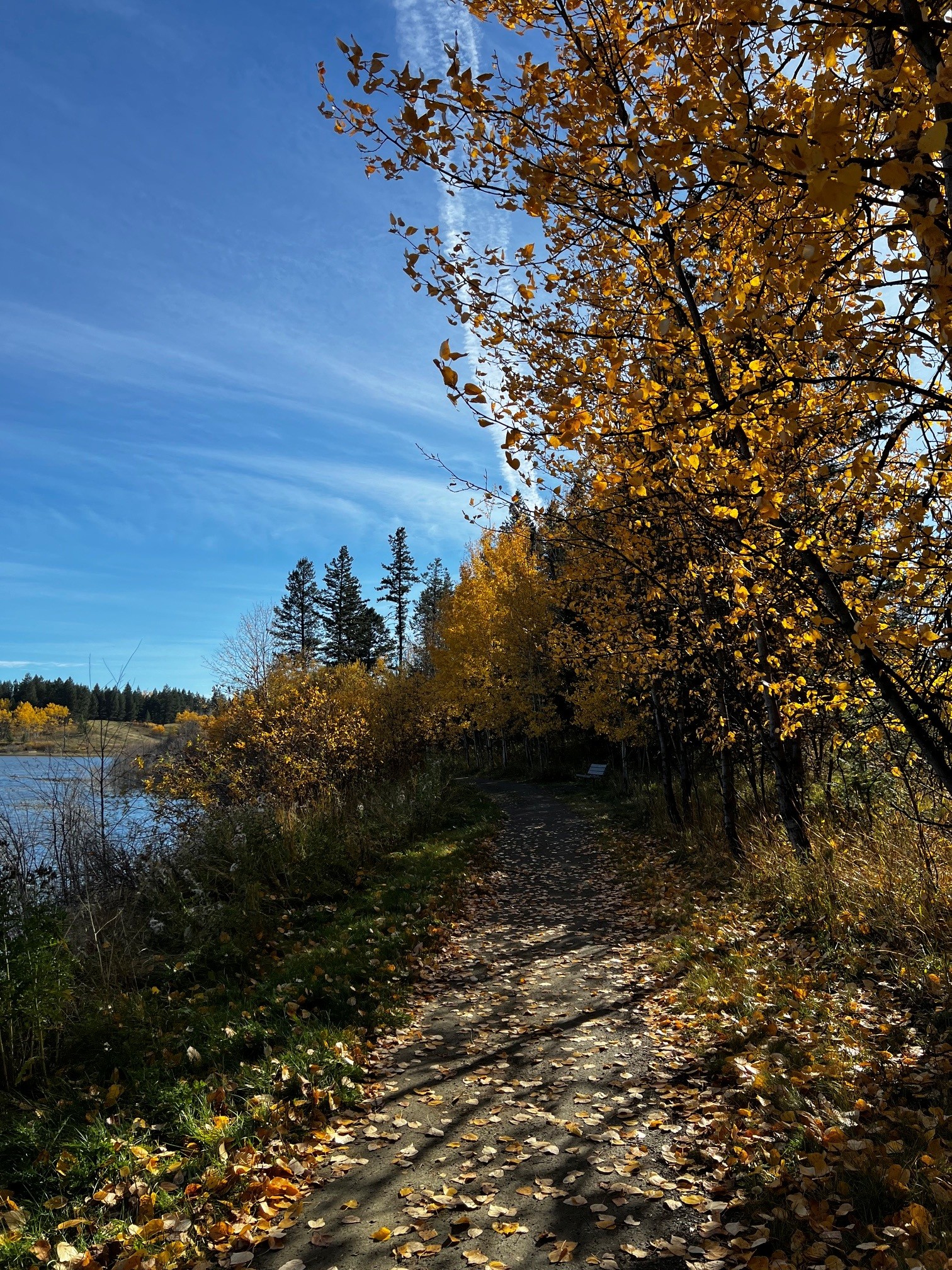 Sepa Trail Fall