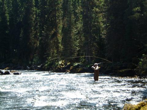 Fly Fishing Canim River