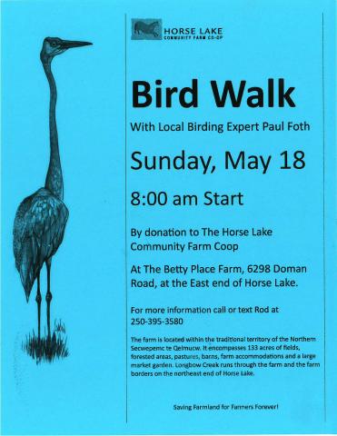 bird walk
