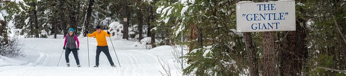 cross country skiiing