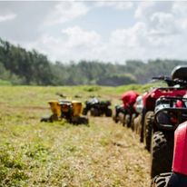 Picture - Cariboo Trail Adventures - ATV Tours