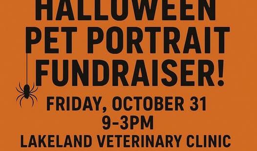 pet portrait poster