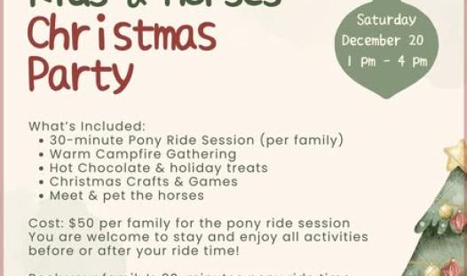 horse christmas party