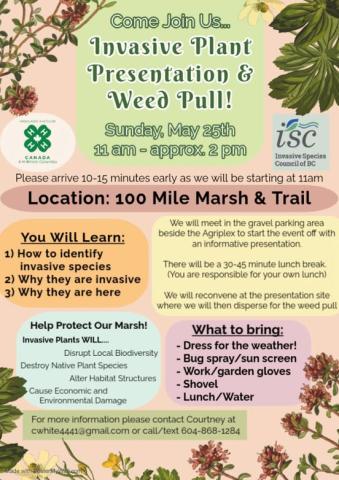 Poster - Invasive Plant Presentation