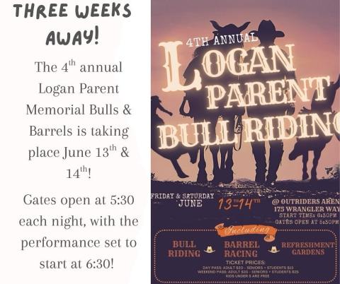 logan parent bulls and barrels