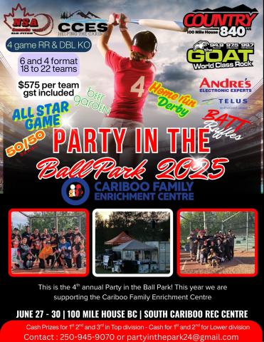 Party in the Park poster