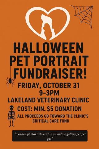 pet portrait poster